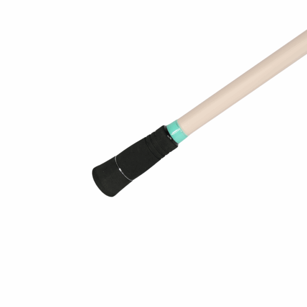 VIROTTY - CAST - Image 2
